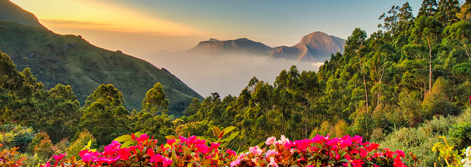 infinity pool resorts in Munnar