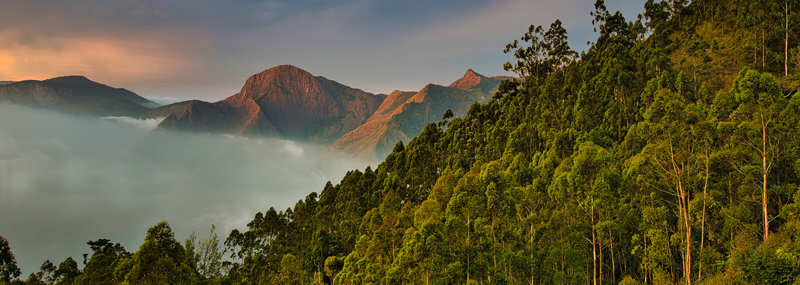 Munnar eco friendly resorts