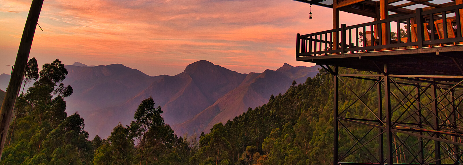 luxury hotels and resorts munnar