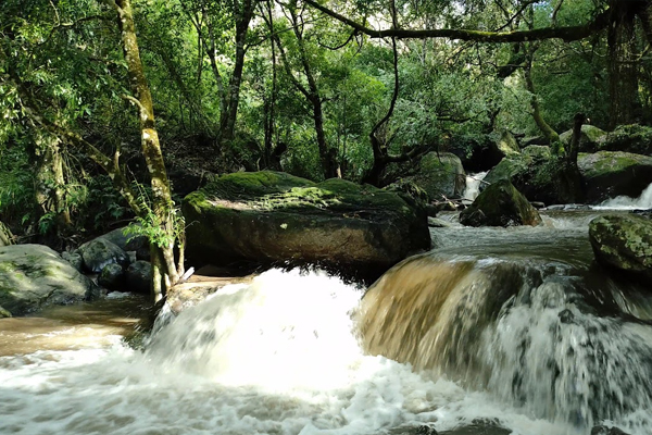 Chilanthiyar Water falls