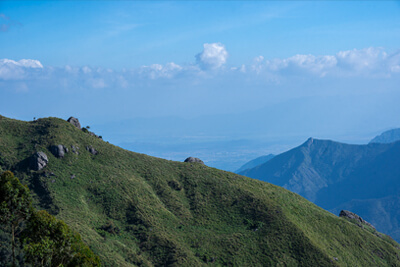 munnar nature resorts