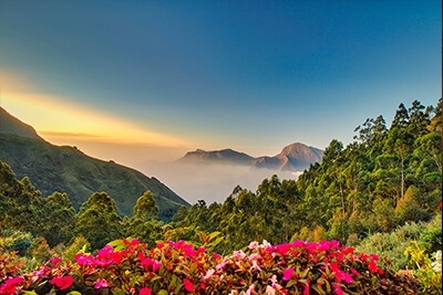 resorts in munnar view point