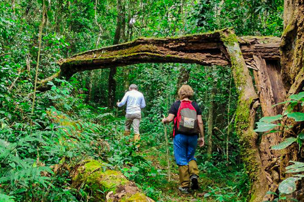 munnar soft trekking